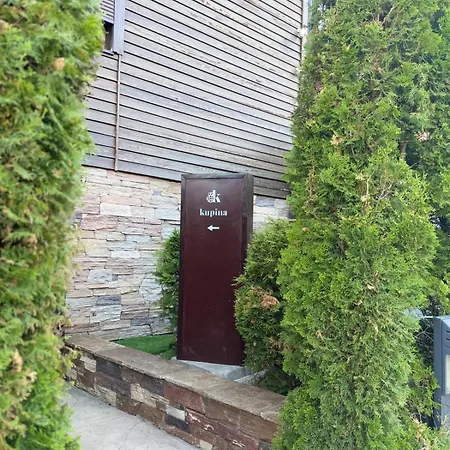 Apartment Mbv Zlatibor